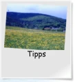 Tipps