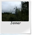 Jenner