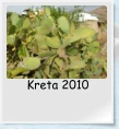 Kreta 2010