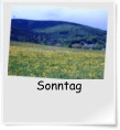 Sonntag