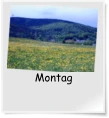 Montag