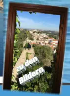 zu den Bildern