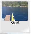 Quad