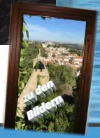 zu den Bildern
