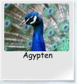 Ägypten