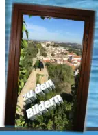 zu den Bildern
