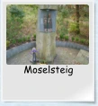 Moselsteig