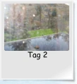 Tag 2