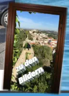 zu den Bildern
