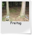 Freitag