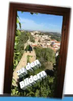 zu den Bildern