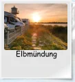 Elbmündung